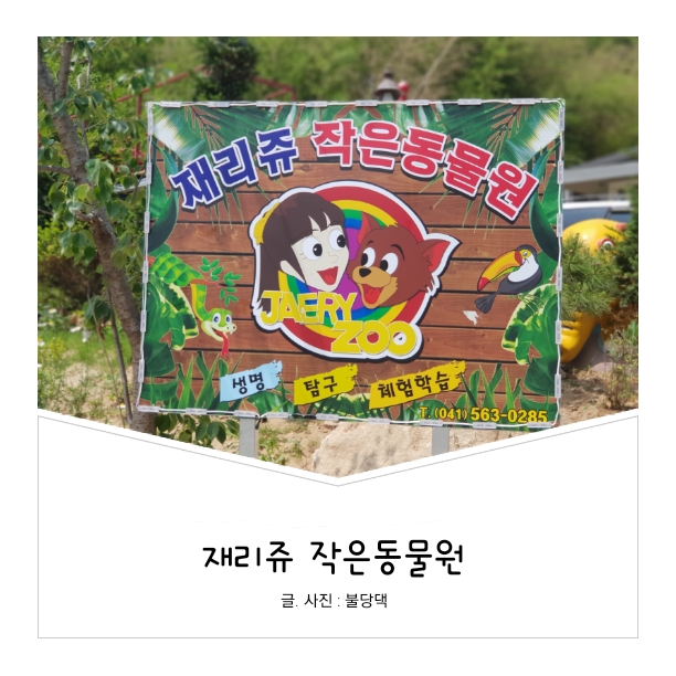 Little Zoo Jari-Ju: A Family-Friendly Zoo