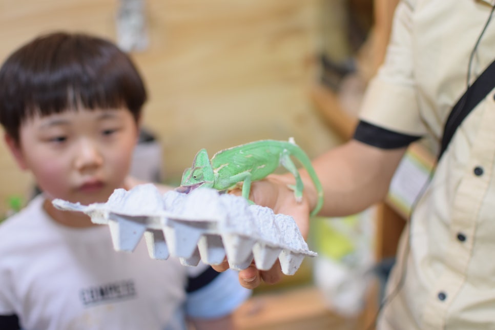 Little Zoo Jari-Ju: A Family-Friendly Zoo for Visiting with Babies - 15