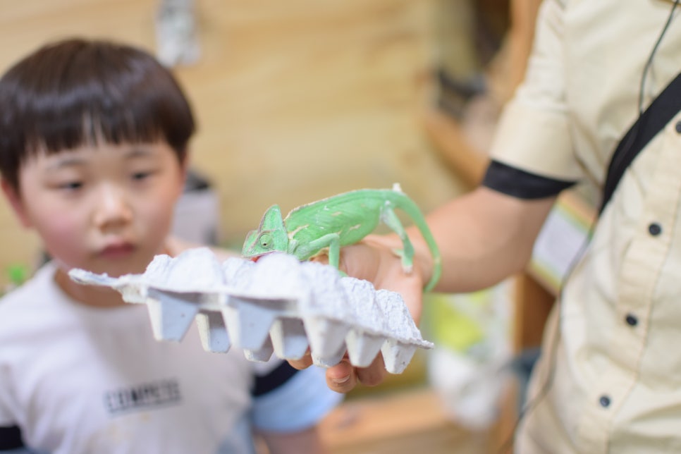 Little Zoo Jari-Ju: A Family-Friendly Zoo for Visiting with Babies - 16