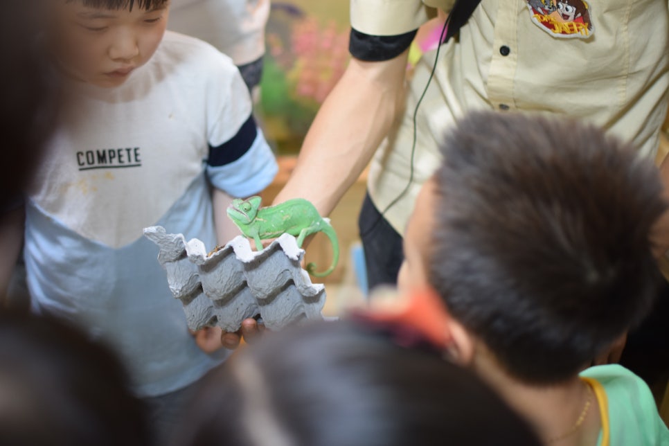 Little Zoo Jari-Ju: A Family-Friendly Zoo for Visiting with Babies - 17