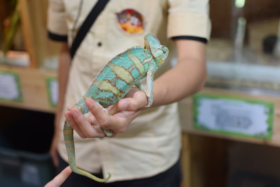 Little Zoo Jari-Ju: A Family-Friendly Zoo for Visiting with Babies - 18