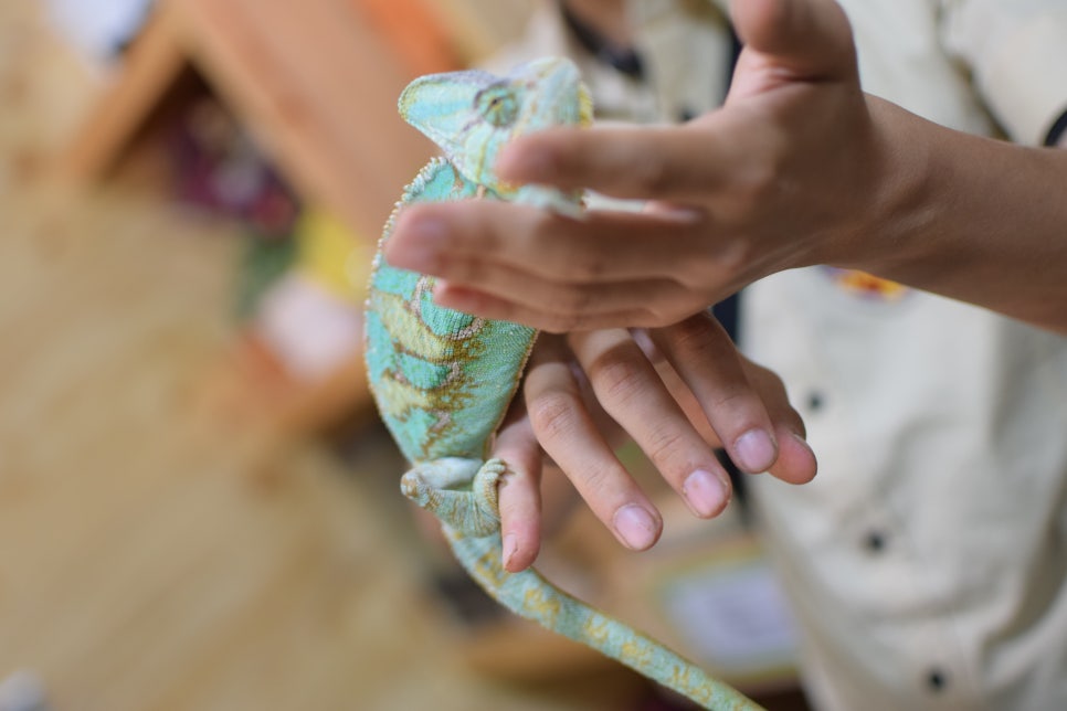 Little Zoo Jari-Ju: A Family-Friendly Zoo for Visiting with Babies - 19