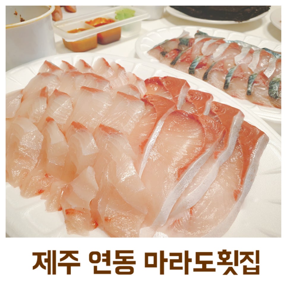Jeju Trip with a 16-Month-Old Baby: Marado Seafood Restaurant Takeout, Bigeye Tuna and Mackerel Sashimi, Unexpected Hidden Gems, Day 1
