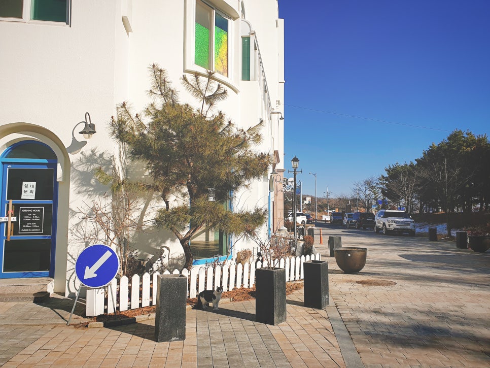 Exotic City of Santorini Background in Tangjeong Mediterranean Village, Asan photo 7
