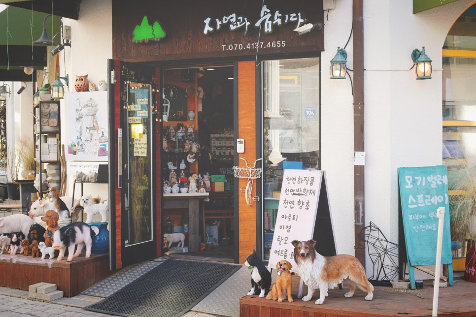 Exotic City of Santorini Background in Tangjeong Mediterranean Village, Asan photo 9