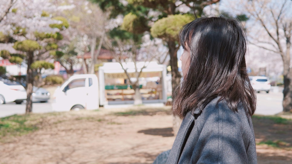 Cherry Blossom Ending: A Great Place to Visit with Kids at Sapgyoho, Is This Osaka, Japan? photo 7