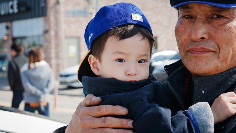 Cherry Blossom Ending: A Great Place to Visit with Kids at Sapgyoho, Is This Osaka, Japan? photo 8