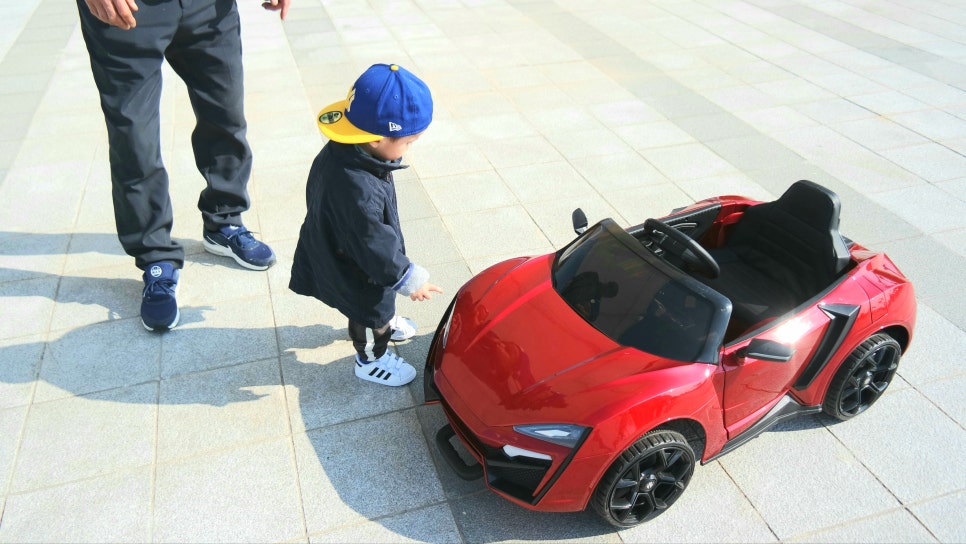 Cherry Blossom Ending: A Great Place to Visit with Kids at Sapgyoho, Is This Osaka, Japan? photo 12