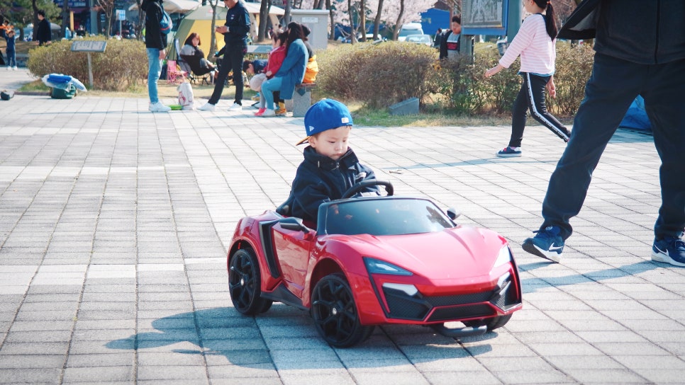 Cherry Blossom Ending: A Great Place to Visit with Kids at Sapgyoho, Is This Osaka, Japan? photo 18