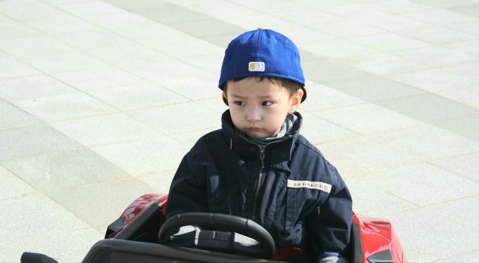 Cherry Blossom Ending: A Great Place to Visit with Kids at Sapgyoho, Is This Osaka, Japan? photo 21