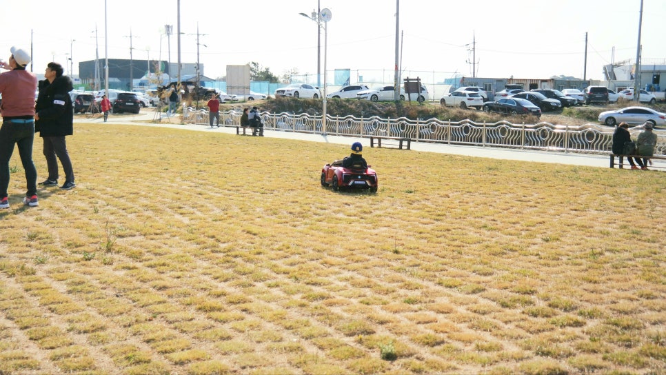 Cherry Blossom Ending: A Great Place to Visit with Kids at Sapgyoho, Is This Osaka, Japan? photo 24