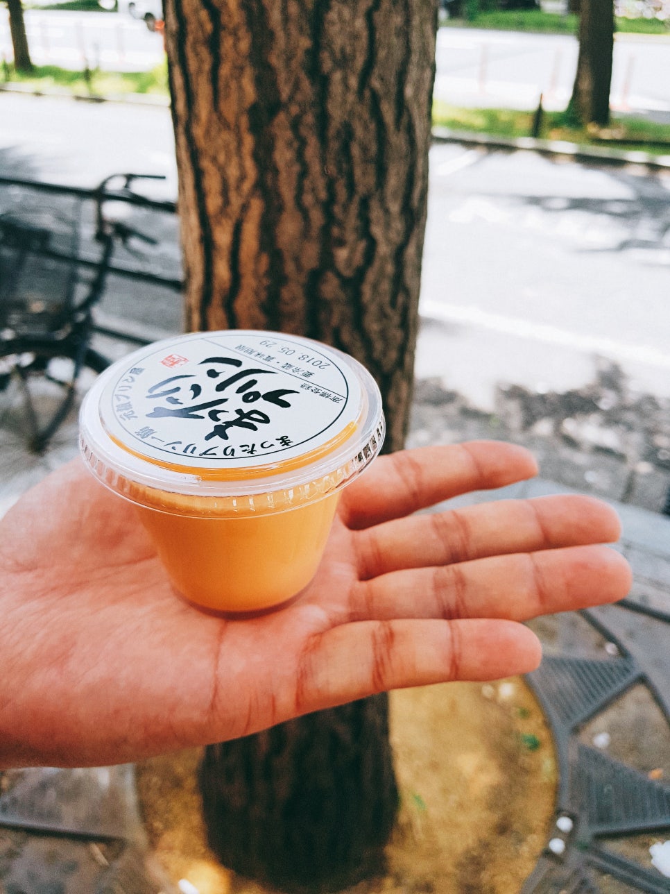 Start and End Your Osaka Trip with a Dotonbori Food Tour (Matarin Pudding, Geumryong Ramen, Mogu Pancakes) photo 12