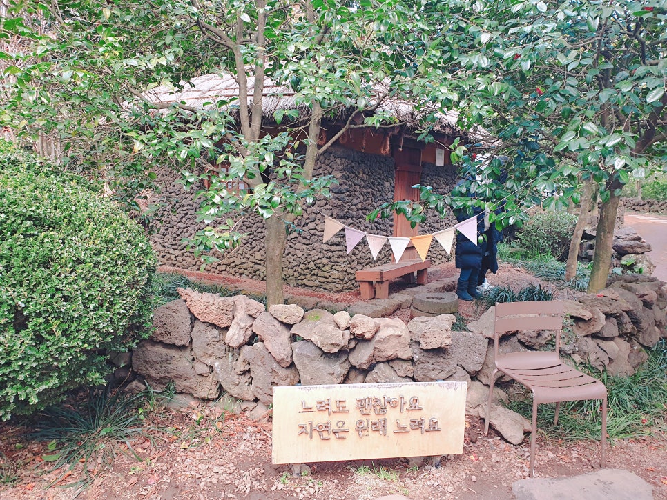 Traveling to Jeju with a 16-Month-Old Baby / Camellia Hill / Winter Flower Viewing / Day 2 photo 5