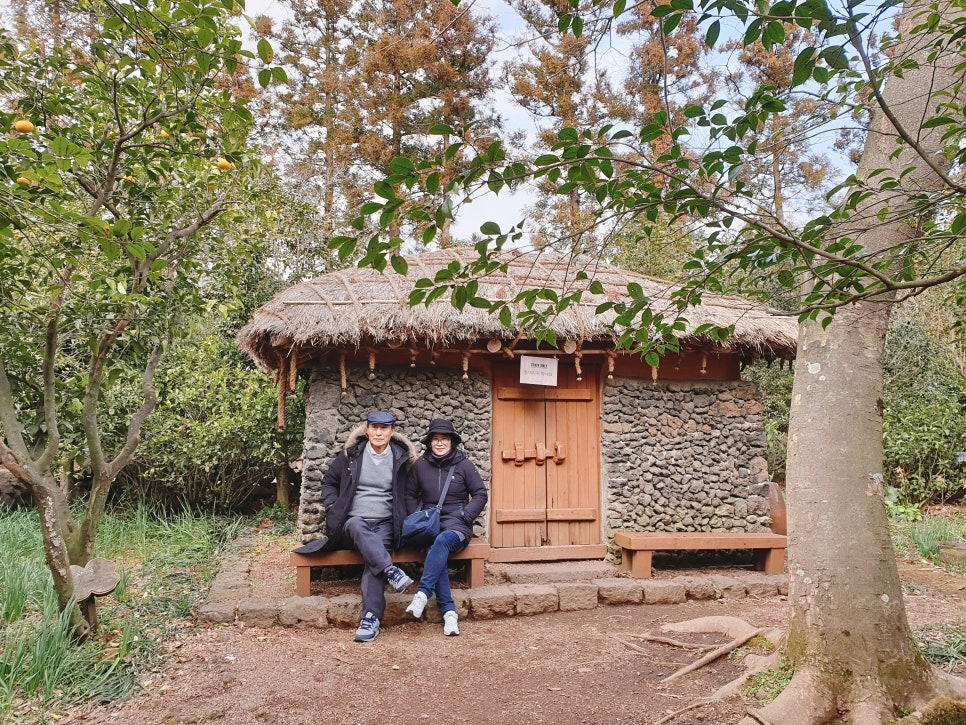 Traveling to Jeju with a 16-Month-Old Baby / Camellia Hill / Winter Flower Viewing / Day 2 photo 6