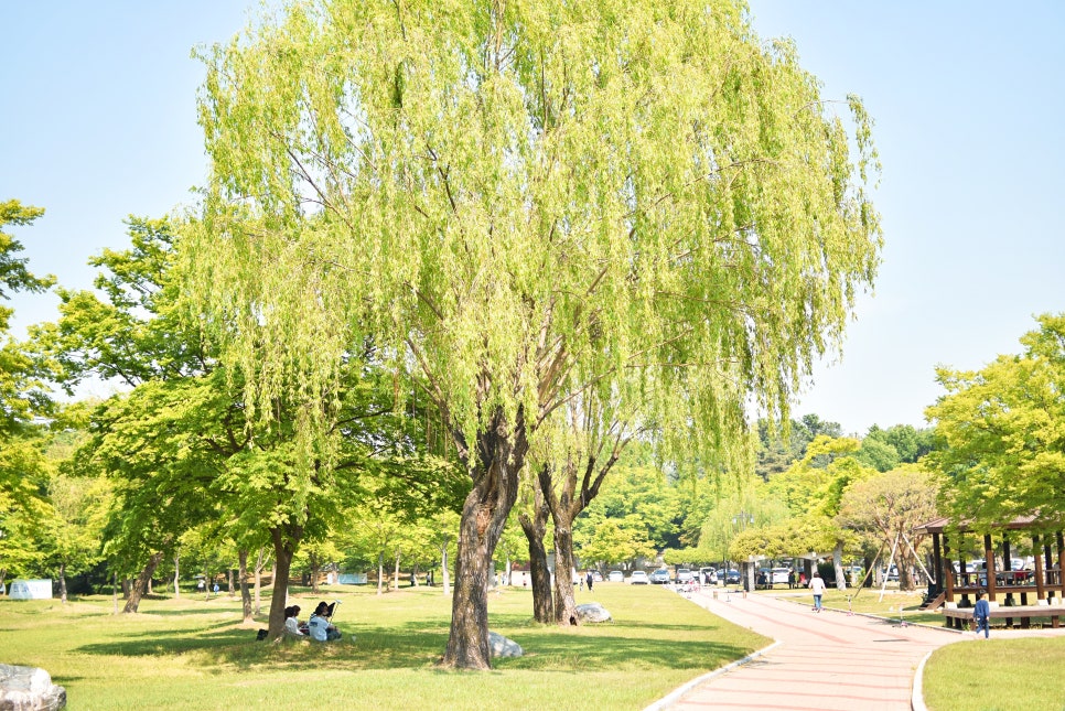 Traveling Together: The Beautiful Hyeonchungsa in All Four Seasons, Perfect for Visiting with Kids photo 6