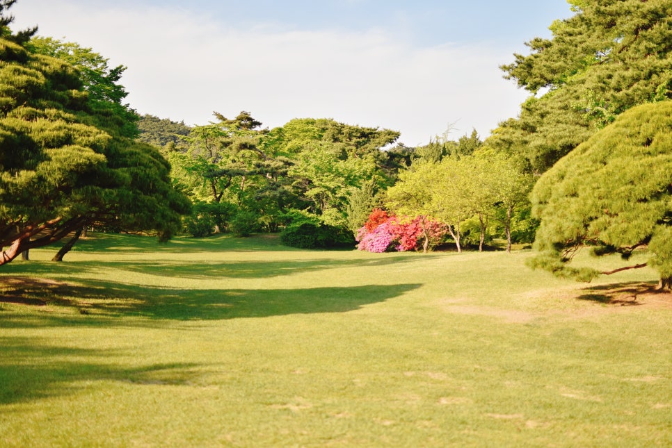 Traveling Together: The Beautiful Hyeonchungsa in All Four Seasons, Perfect for Visiting with Kids photo 41