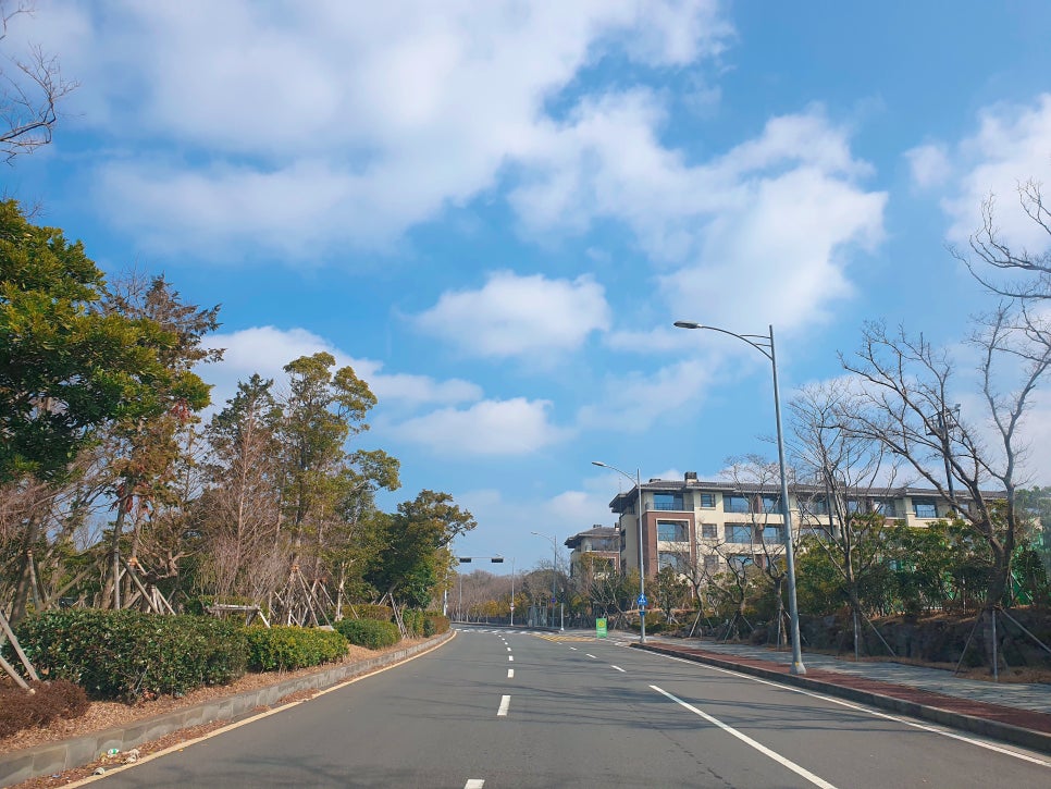Jeju Trip with a 16-Month-Old: Best Kalguksu and Seafood Soup Restaurants Near Seongsan Ilchulbong photo 2