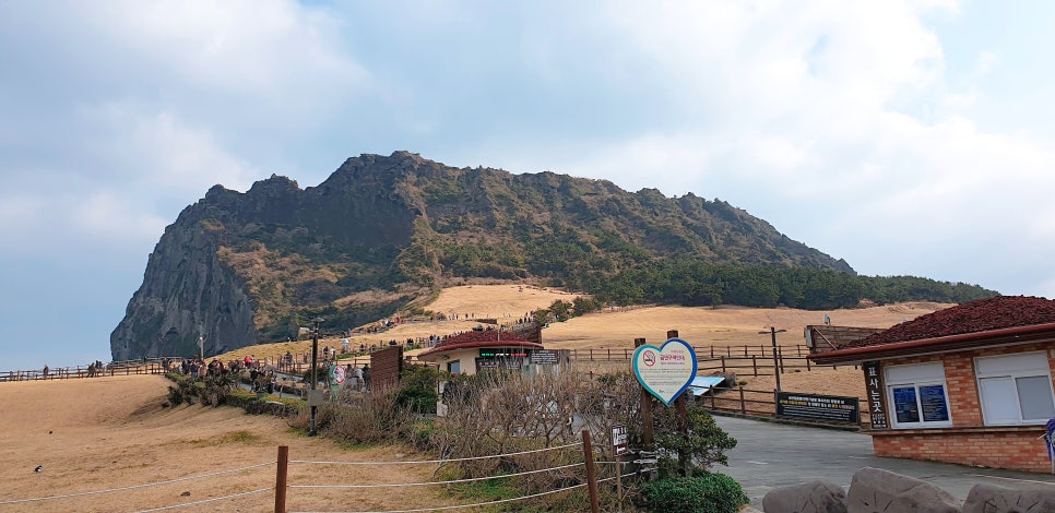 Jeju Travel with a 16-Month-Old: Seongsan Ilchulbong, Horse Meat Burger, and Black Pork Burger at Papaya photo 6
