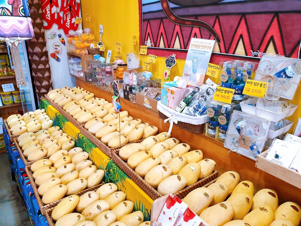 Jeju Trip with a 16-Month-Old Baby: Mango Ray at Seopjikoji photo 10