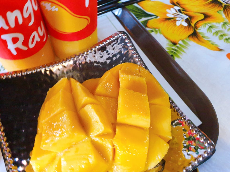 Jeju Trip with a 16-Month-Old Baby: Mango Ray at Seopjikoji photo 15