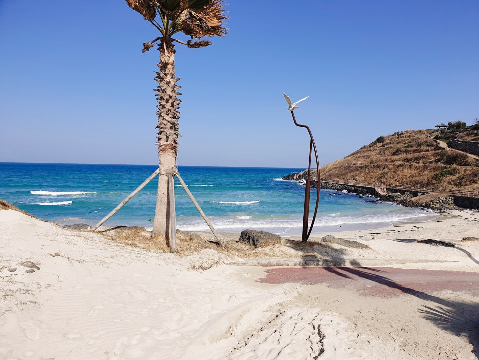 Traveling to Jeju with a 16-Month-Old: Hamdeok Seahoe Beach and Jeju Hanwha Resort photo 2