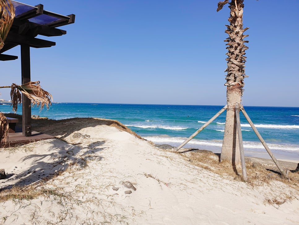 Traveling to Jeju with a 16-Month-Old: Hamdeok Seahoe Beach and Jeju Hanwha Resort photo 3