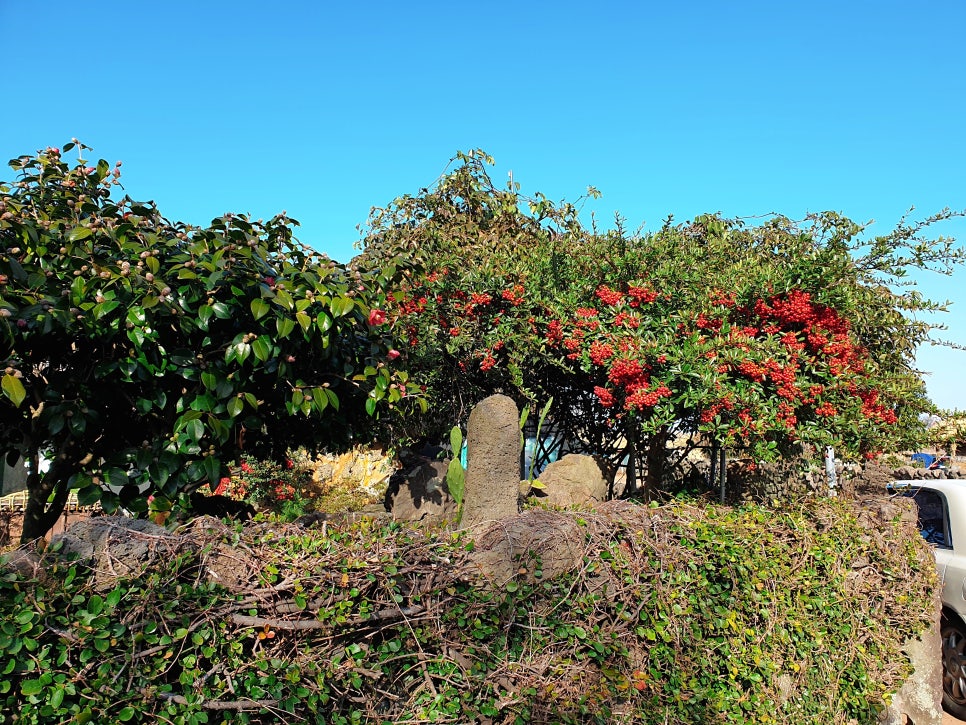 Traveling to Jeju with a 16-Month-Old Baby: Exploring Seongeup Folk Village photo 10