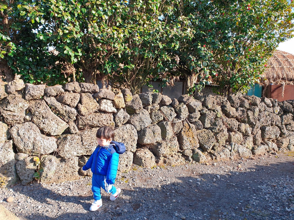 Traveling to Jeju with a 16-Month-Old Baby: Exploring Seongeup Folk Village photo 17