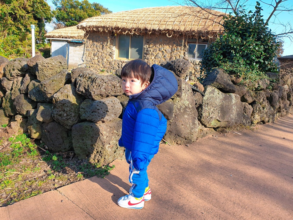 Traveling to Jeju with a 16-Month-Old Baby: Exploring Seongeup Folk Village photo 20