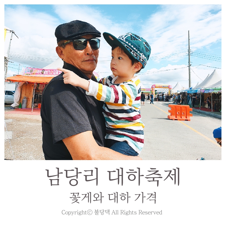 Namdangri Daehwa Festival: Prices for Flower Crabs and Large Shrimp / A Trip with My Child