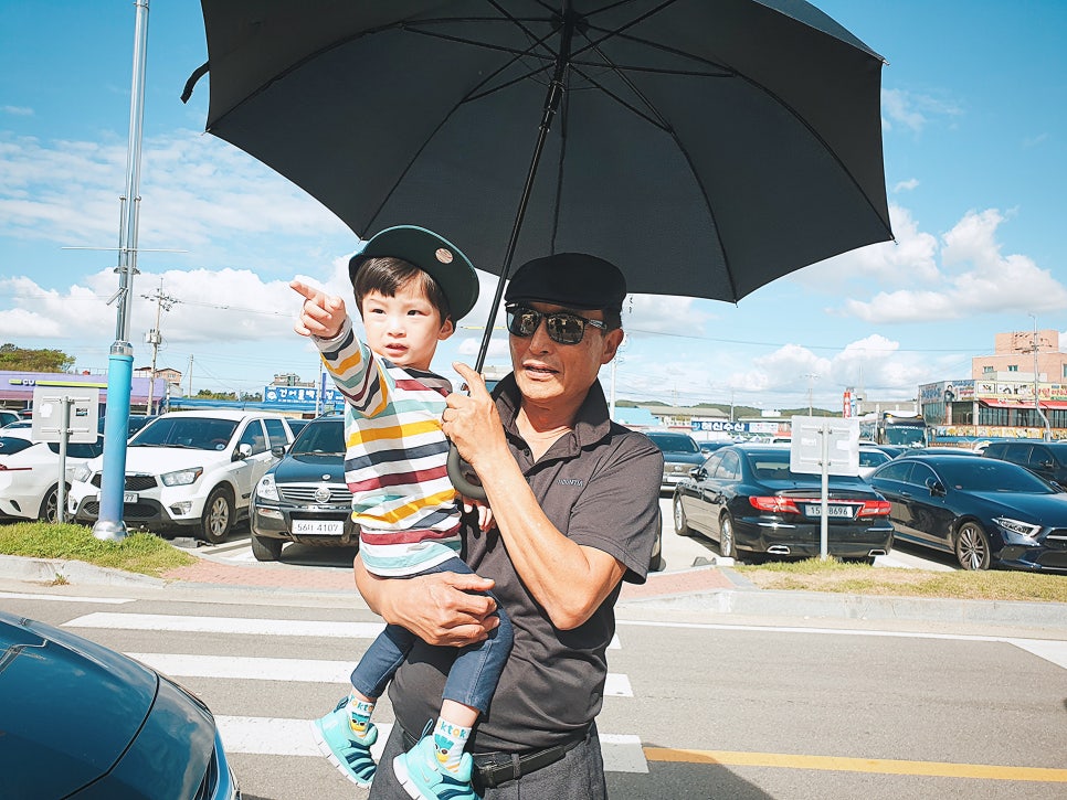 Namdangri Daehwa Festival: Prices for Flower Crabs and Large Shrimp / A Trip with My Child photo 3