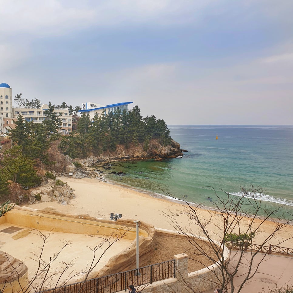 Winter Travel in Samcheok: Samcheok Sol Beach photo 13