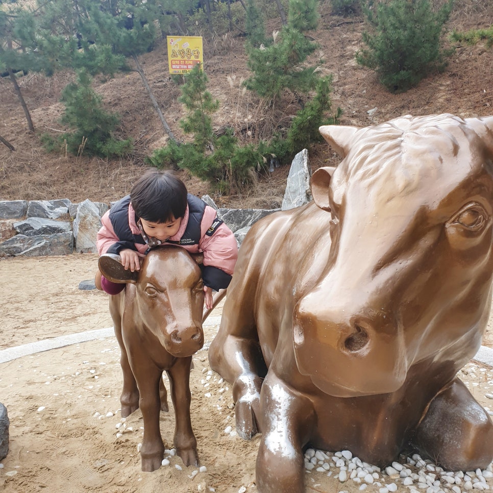 Winter Travel in Samcheok: Samcheok Sol Beach photo 19