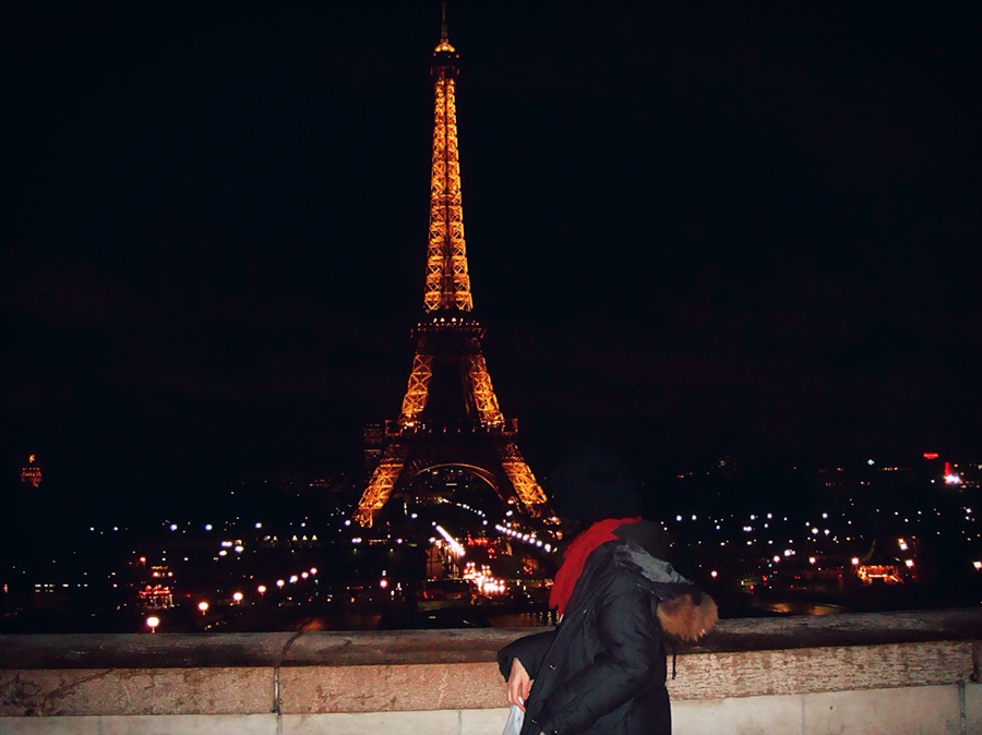 Memories of Paris: Arc de Triomphe + Eiffel Tower photo 18