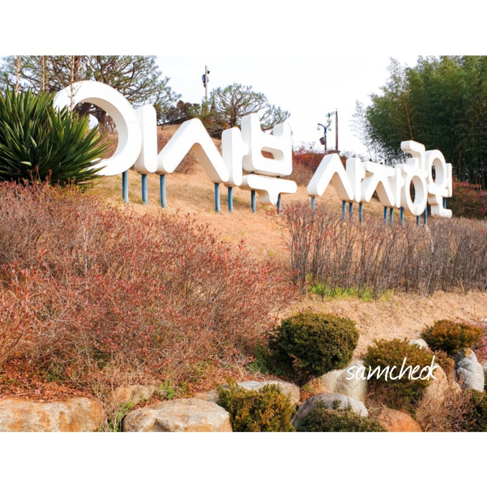 Samcheok Travel: A Great Place to Visit with Kids - Isabu Lion Park