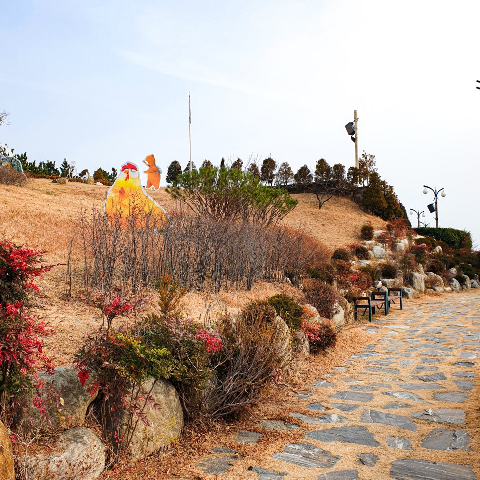 Samcheok Travel: A Great Place to Visit with Kids - Isabu Lion Park photo 7