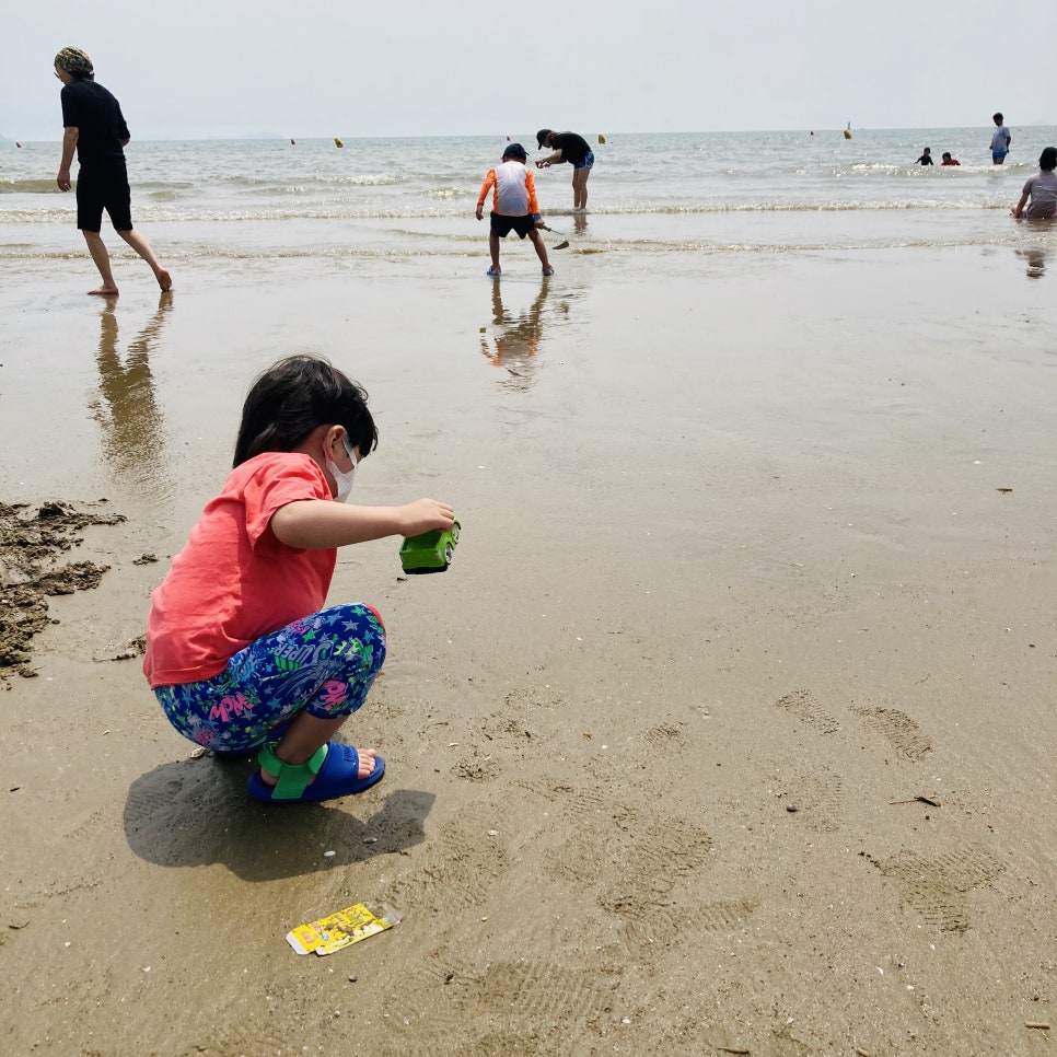 Clam Digging Experience at Mongsanpo and Dalsanpo Beaches: Family-friendly Clam Digging Points and Delicious Clams