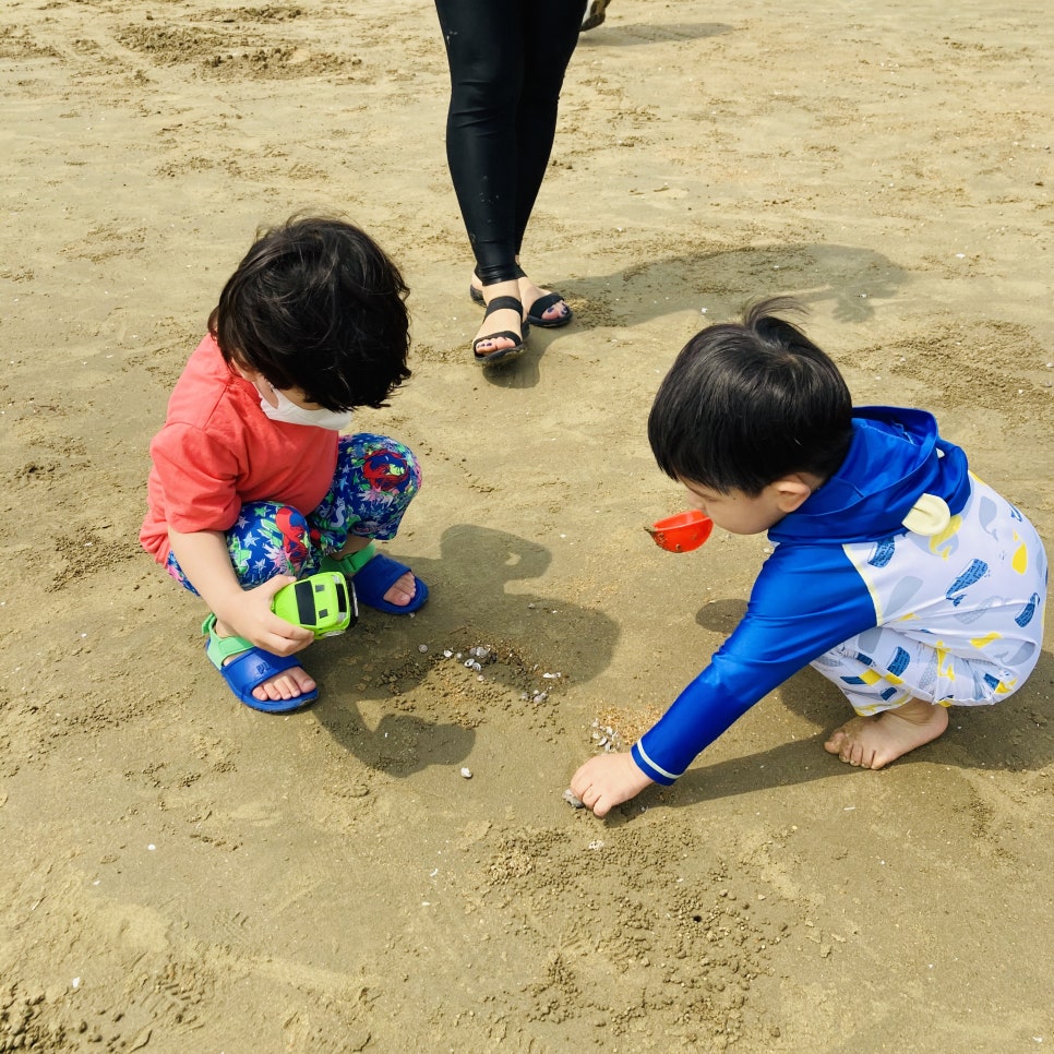 Clam Digging Experience at Mongsanpo and Dalsanpo Beaches: Family-friendly Clam Digging Points and Delicious Clams photo 2