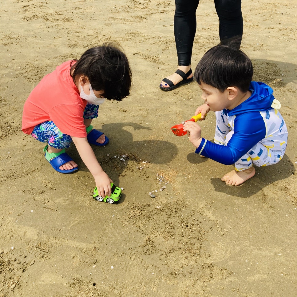 Clam Digging Experience at Mongsanpo and Dalsanpo Beaches: Family-friendly Clam Digging Points and Delicious Clams photo 3