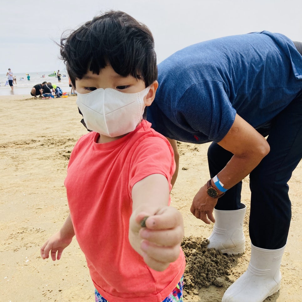 Clam Digging Experience at Mongsanpo and Dalsanpo Beaches: Family-friendly Clam Digging Points and Delicious Clams photo 4