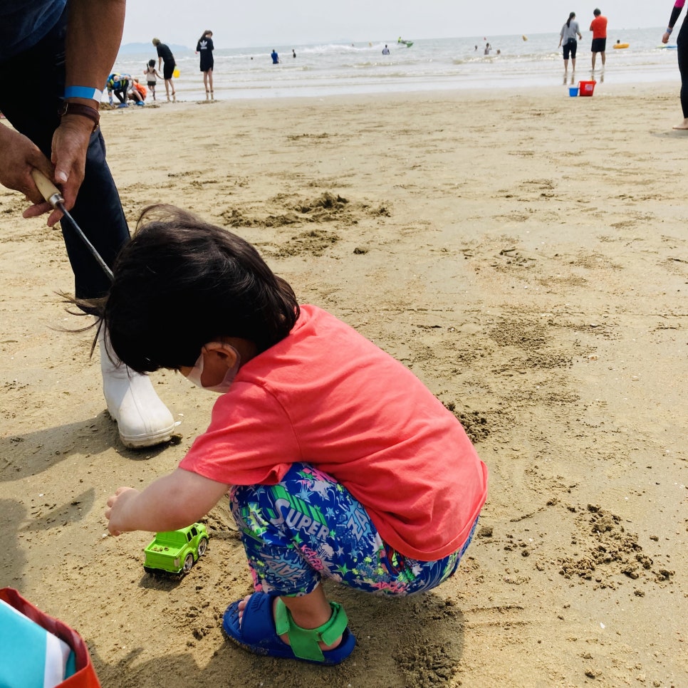 Clam Digging Experience at Mongsanpo and Dalsanpo Beaches: Family-friendly Clam Digging Points and Delicious Clams photo 5