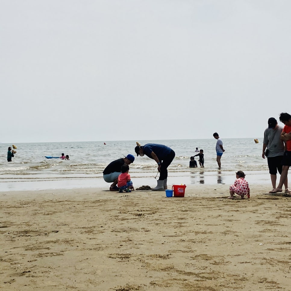 Clam Digging Experience at Mongsanpo and Dalsanpo Beaches: Family-friendly Clam Digging Points and Delicious Clams photo 6