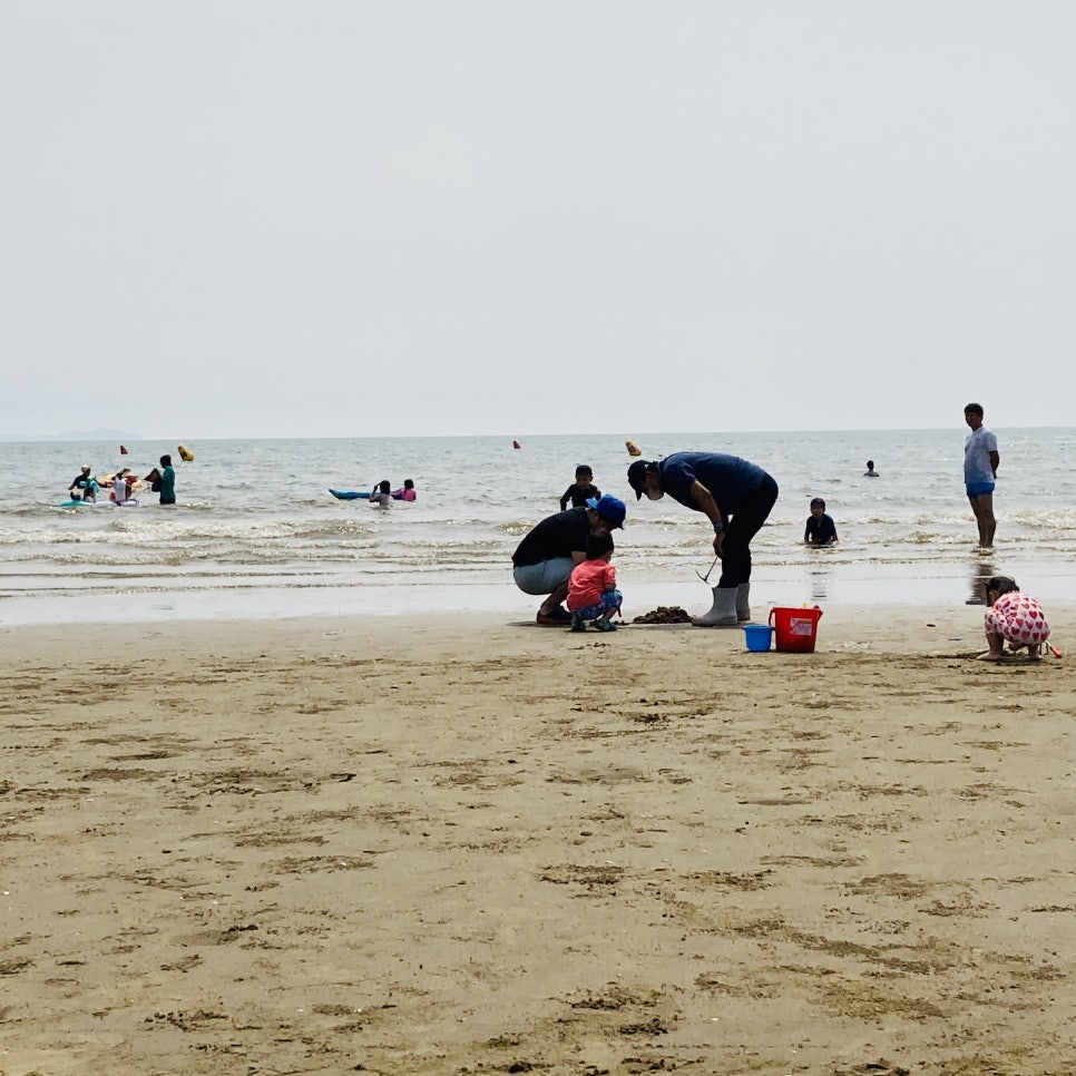 Clam Digging Experience at Mongsanpo and Dalsanpo Beaches: Family-friendly Clam Digging Points and Delicious Clams photo 7