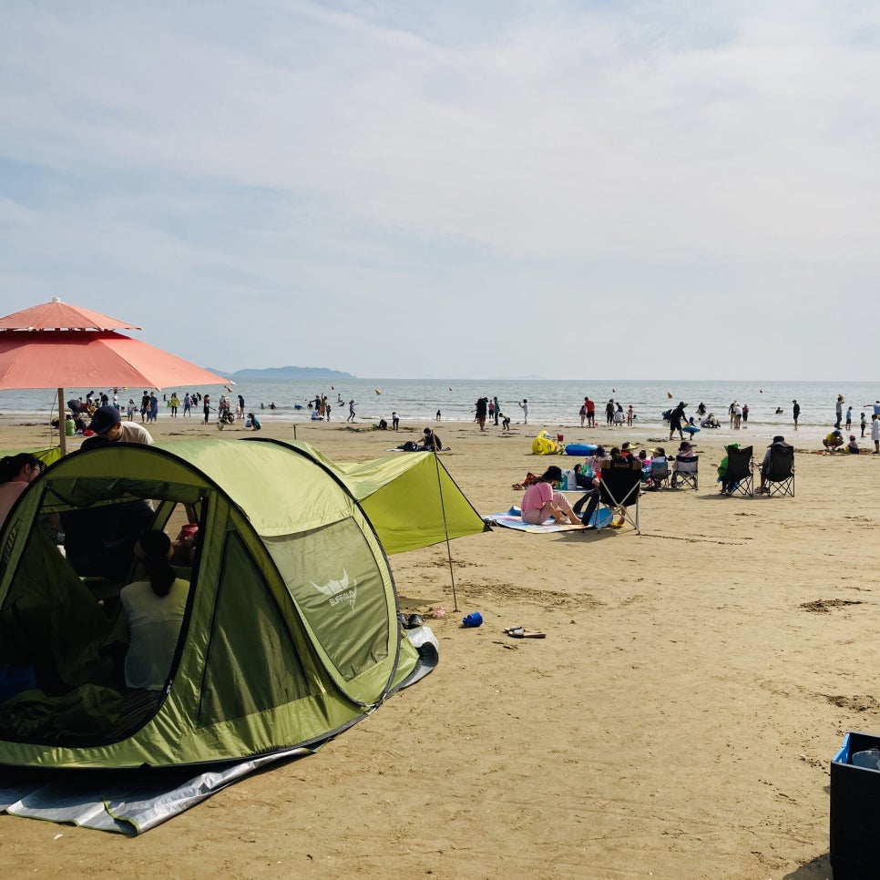 Clam Digging Experience at Mongsanpo and Dalsanpo Beaches: Family-friendly Clam Digging Points and Delicious Clams photo 8