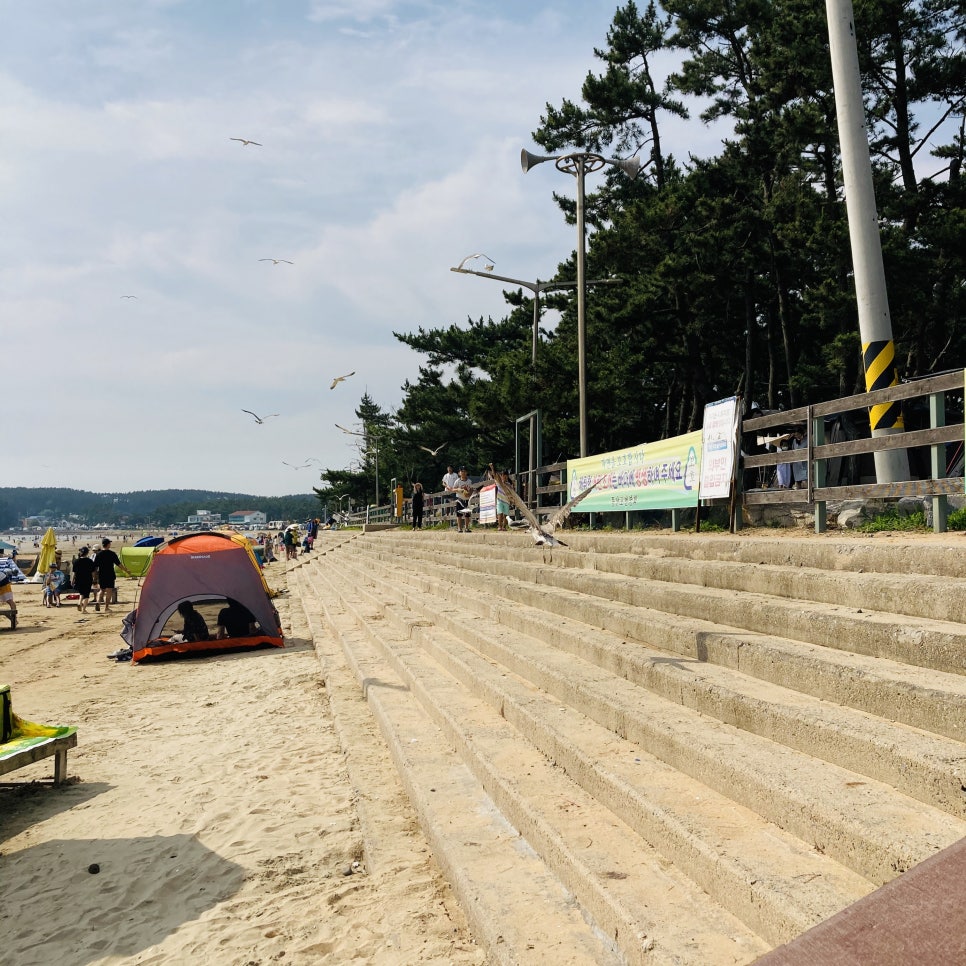 Clam Digging Experience at Mongsanpo and Dalsanpo Beaches: Family-friendly Clam Digging Points and Delicious Clams photo 9