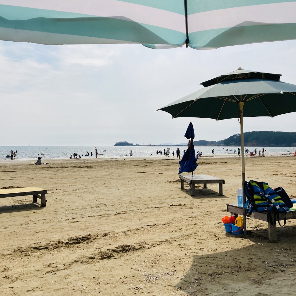 Clam Digging Experience at Mongsanpo and Dalsanpo Beaches: Family-friendly Clam Digging Points and Delicious Clams photo 10