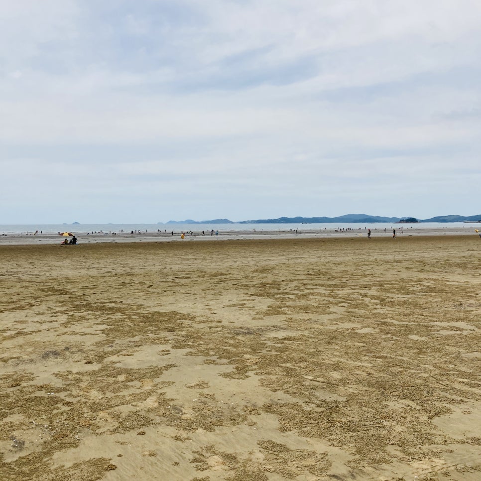Clam Digging Experience at Mongsanpo and Dalsanpo Beaches: Family-friendly Clam Digging Points and Delicious Clams photo 11