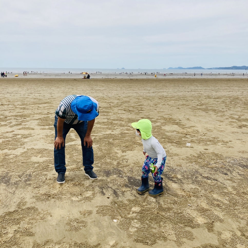 Clam Digging Experience at Mongsanpo and Dalsanpo Beaches: Family-friendly Clam Digging Points and Delicious Clams photo 12