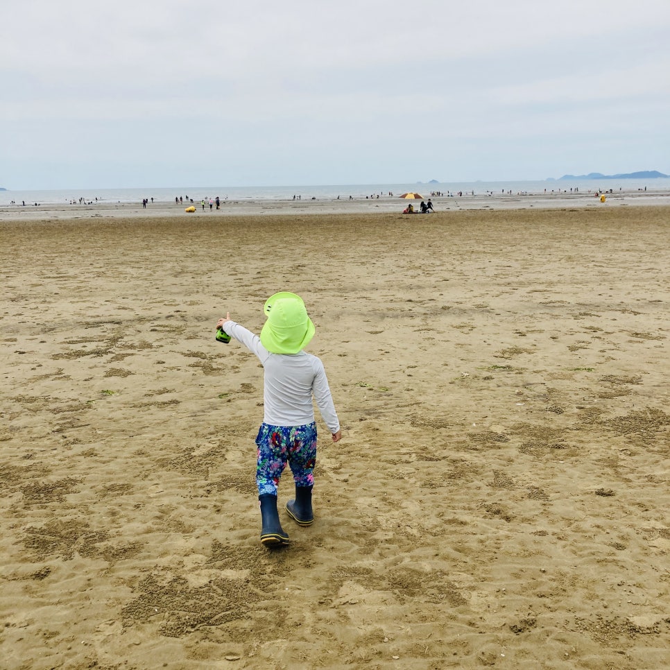 Clam Digging Experience at Mongsanpo and Dalsanpo Beaches: Family-friendly Clam Digging Points and Delicious Clams photo 14