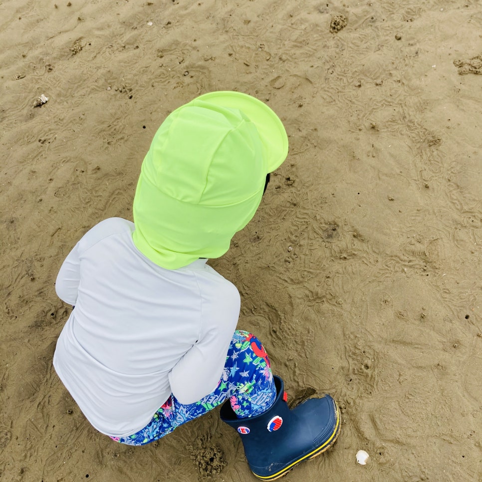 Clam Digging Experience at Mongsanpo and Dalsanpo Beaches: Family-friendly Clam Digging Points and Delicious Clams photo 16